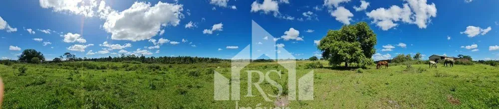 Fazenda, 252 hectares - Foto 14