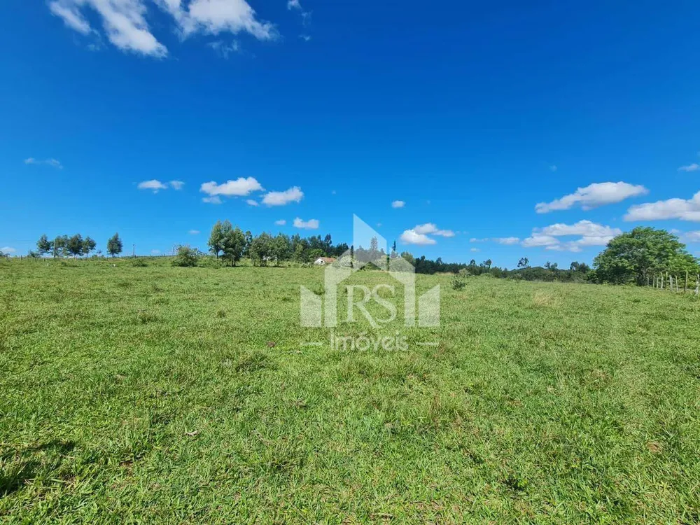 Fazenda, 252 hectares - Foto 12