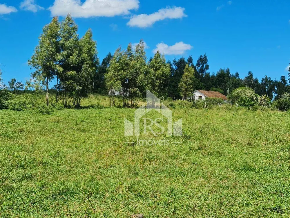 Fazenda, 252 hectares - Foto 2