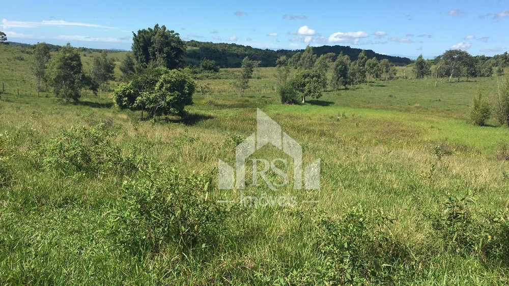 Fazenda, 252 hectares - Foto 3
