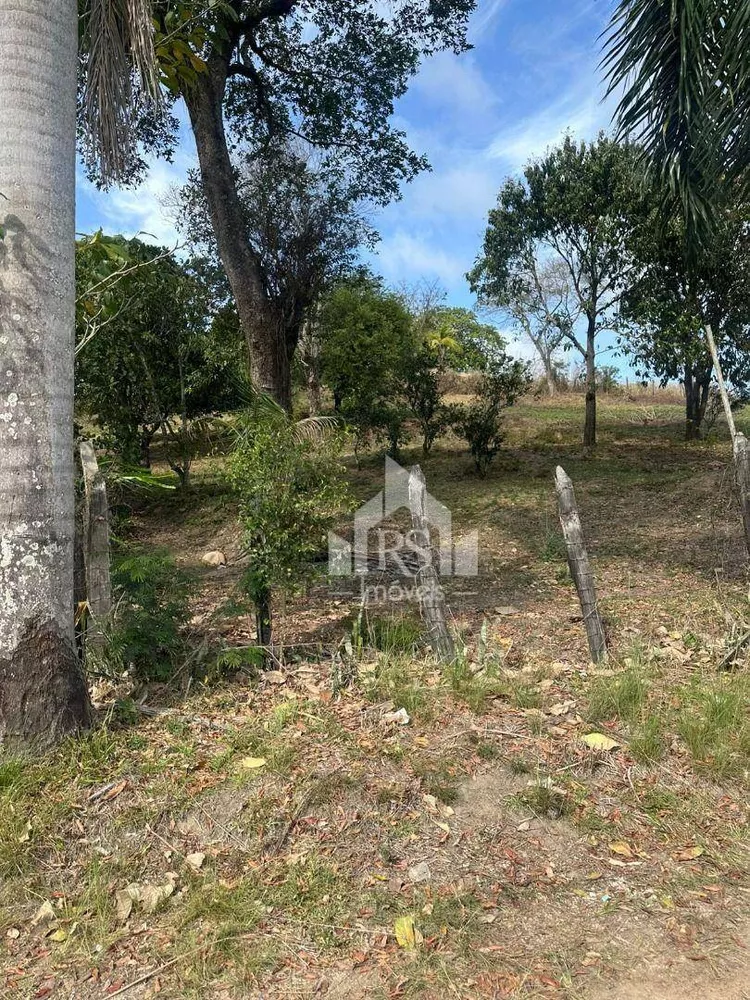 Terreno, 6000 m² - Foto 10