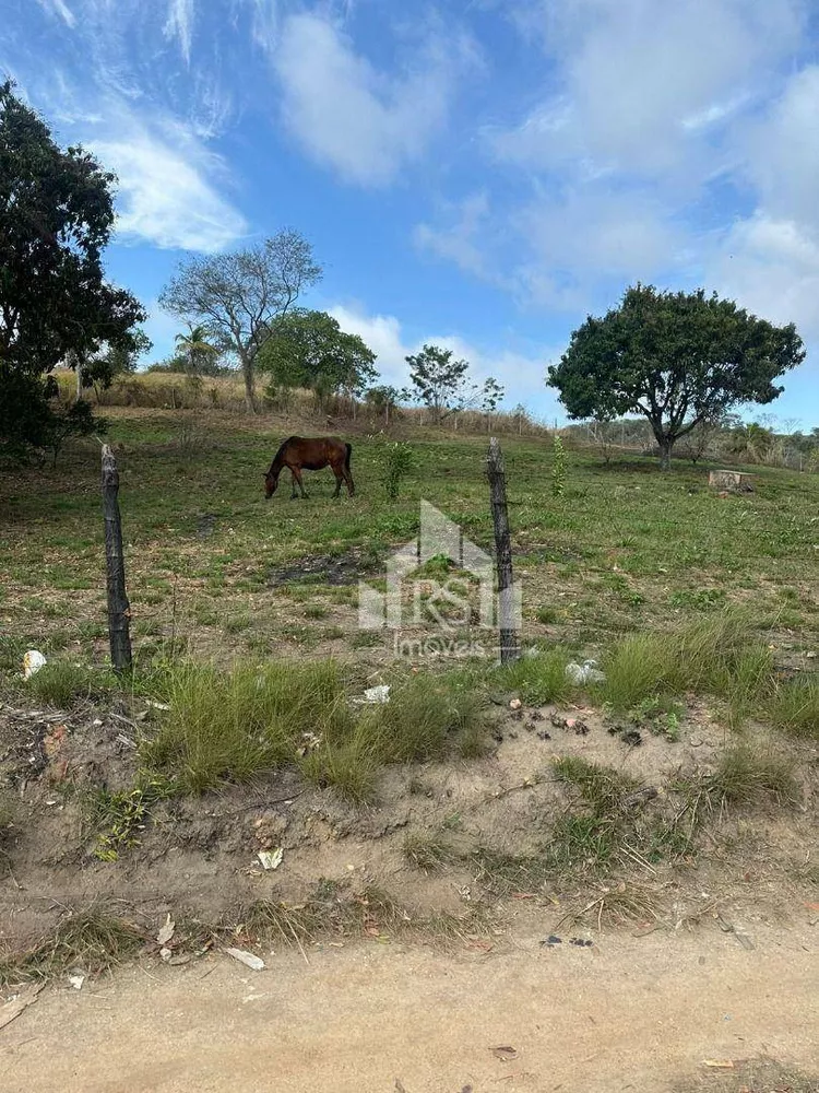 Terreno, 6000 m² - Foto 12