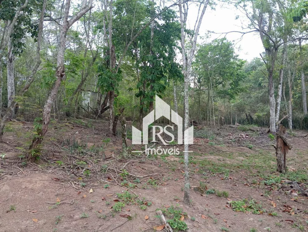 Sítio, 2 quartos, 111 hectares - Foto 9