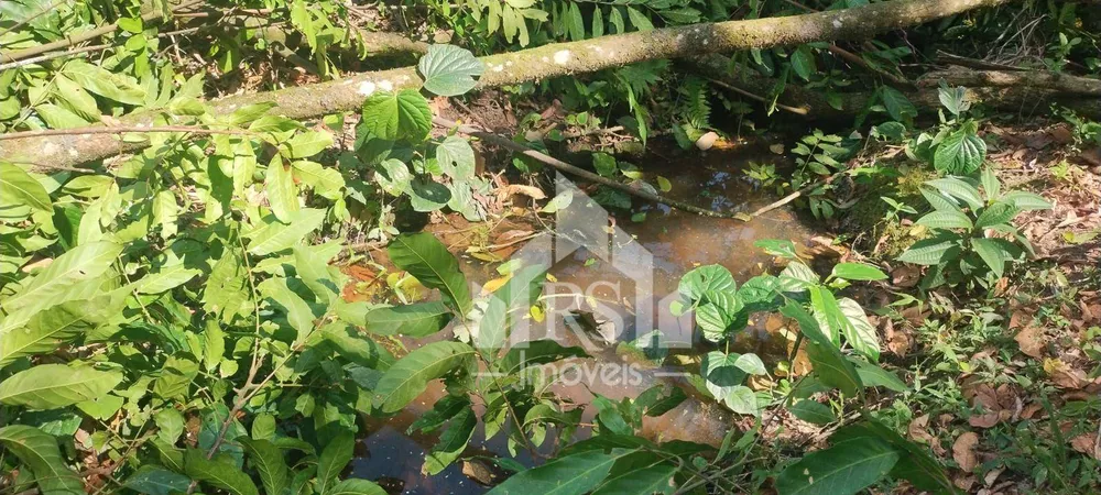 Terreno, 1000 m² - Foto 2