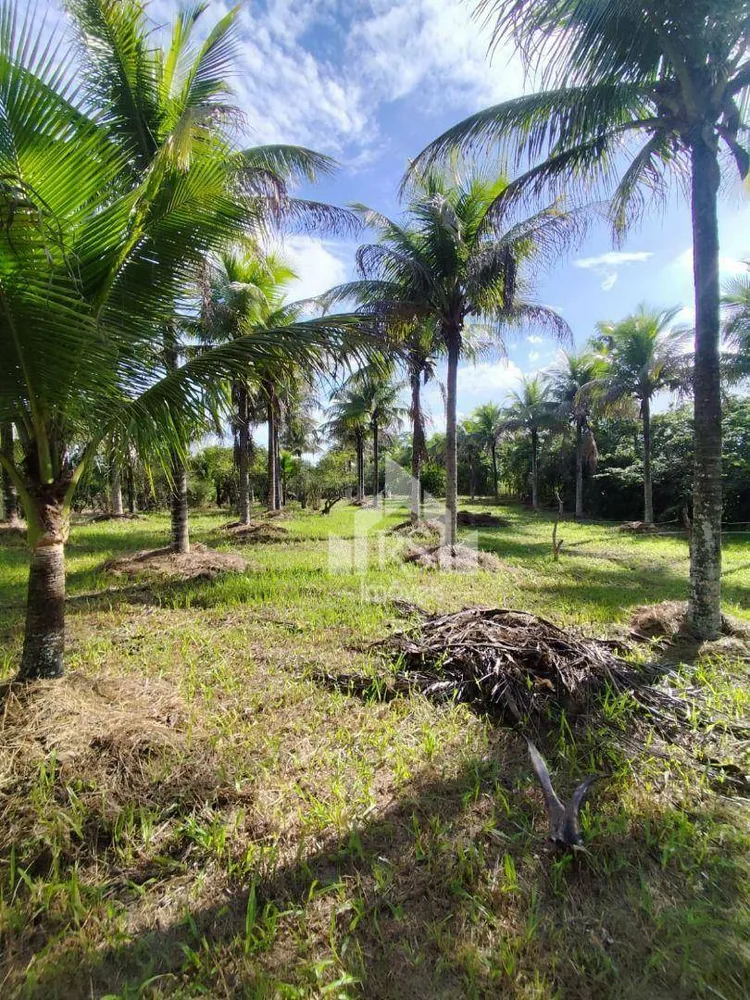 Sítio, 3 quartos, 1 hectares - Foto 4