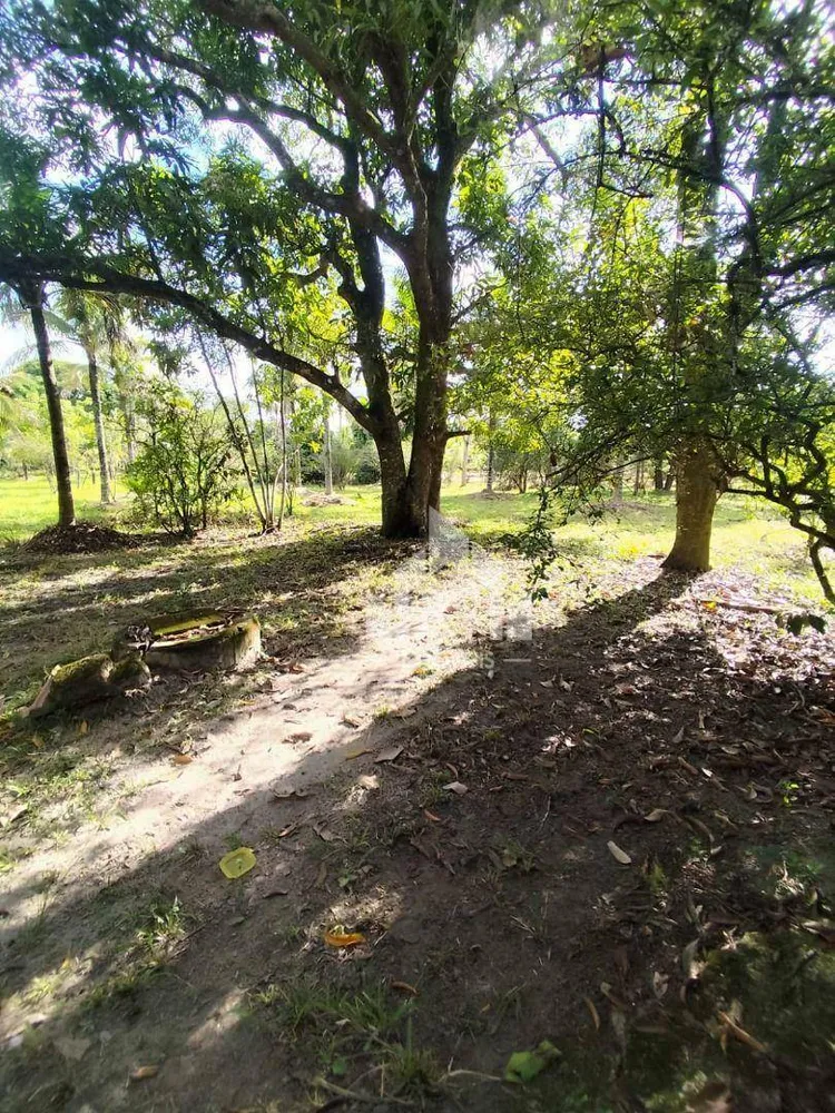 Sítio, 3 quartos, 1 hectares - Foto 30