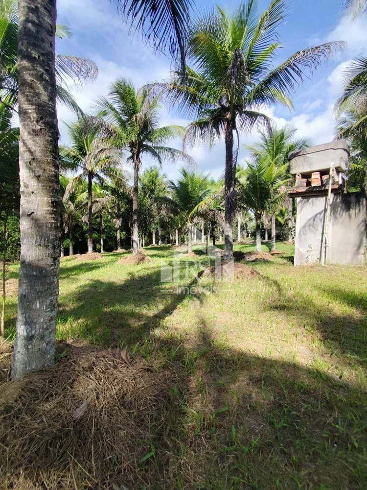 Sítio, 3 quartos, 1 hectares - Foto 6