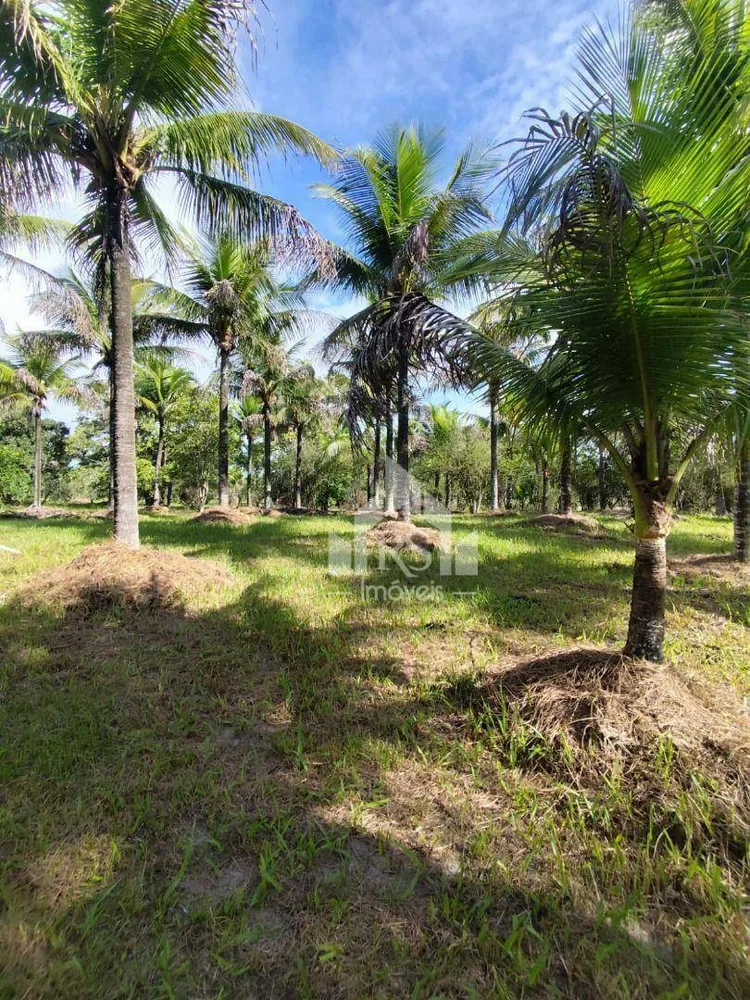 Sítio, 3 quartos, 1 hectares - Foto 3