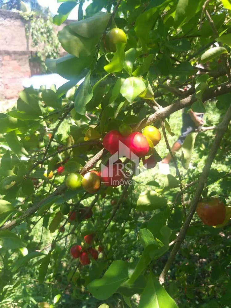 Terreno, 480 m² - Foto 5