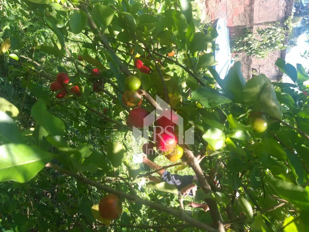 Terreno, 480 m² - Foto 4