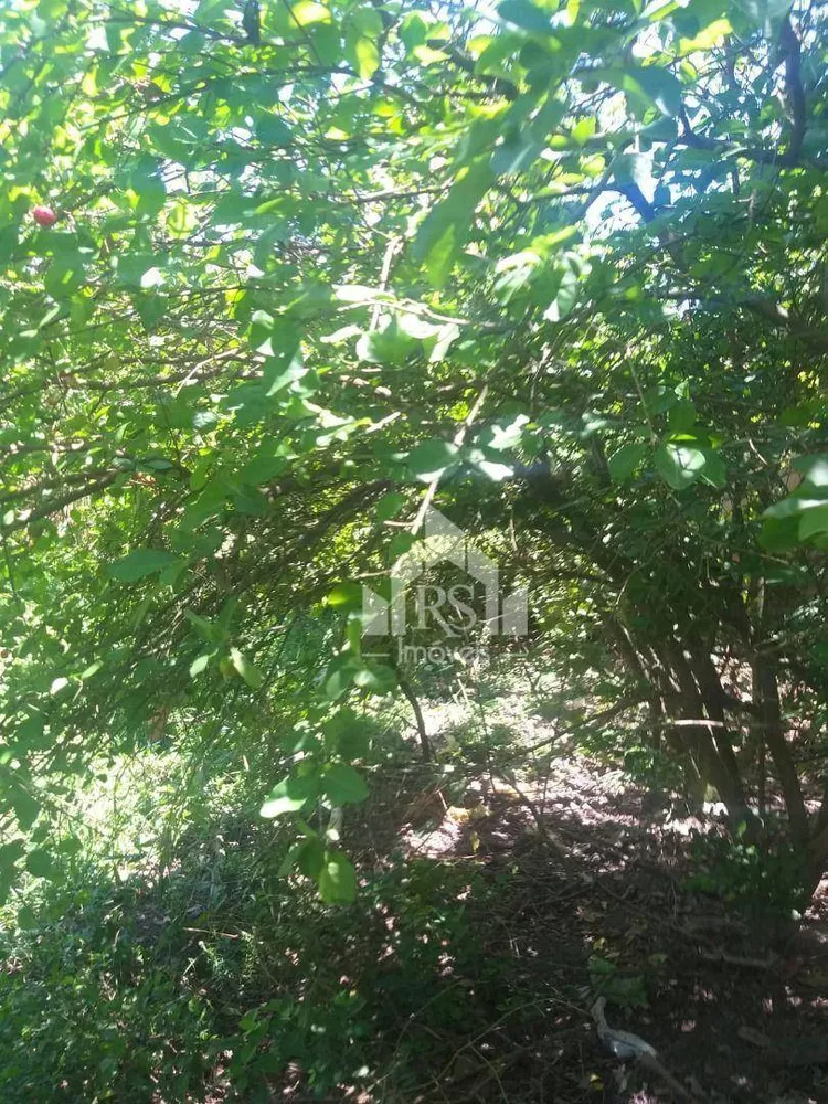 Terreno, 480 m² - Foto 6