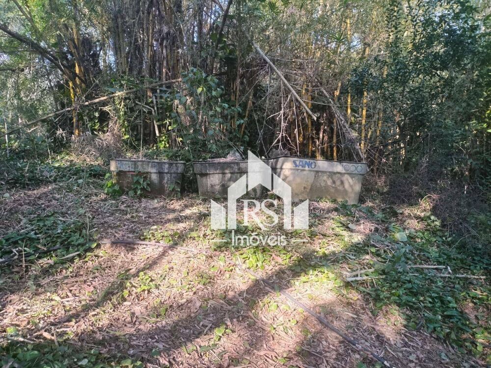 Sítio à venda com 6 quartos, 5530M2 - Foto 2