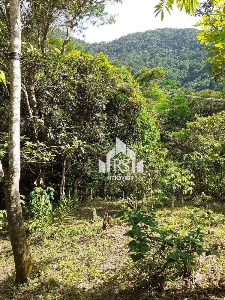 Sítio, 1 quarto, 2000 m² - Foto 2