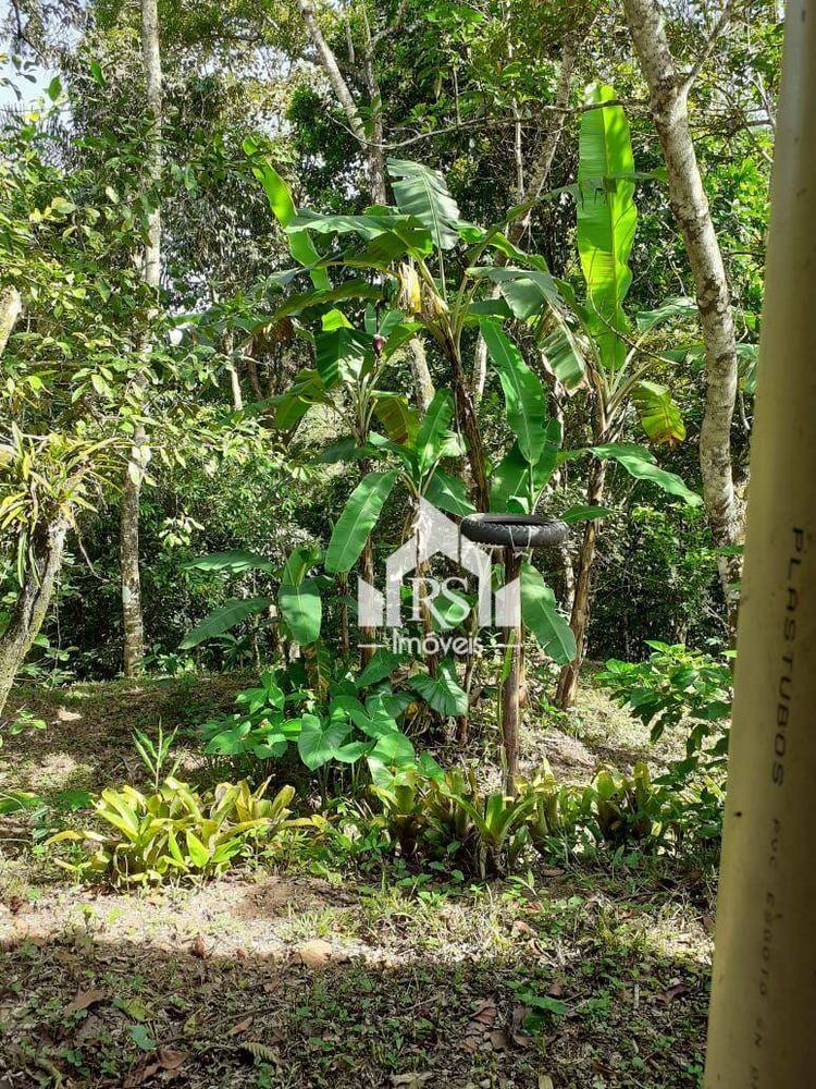 Sítio, 1 quarto, 2000 m² - Foto 4