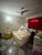 Casa, 2 quartos, 167 m² - Foto 4