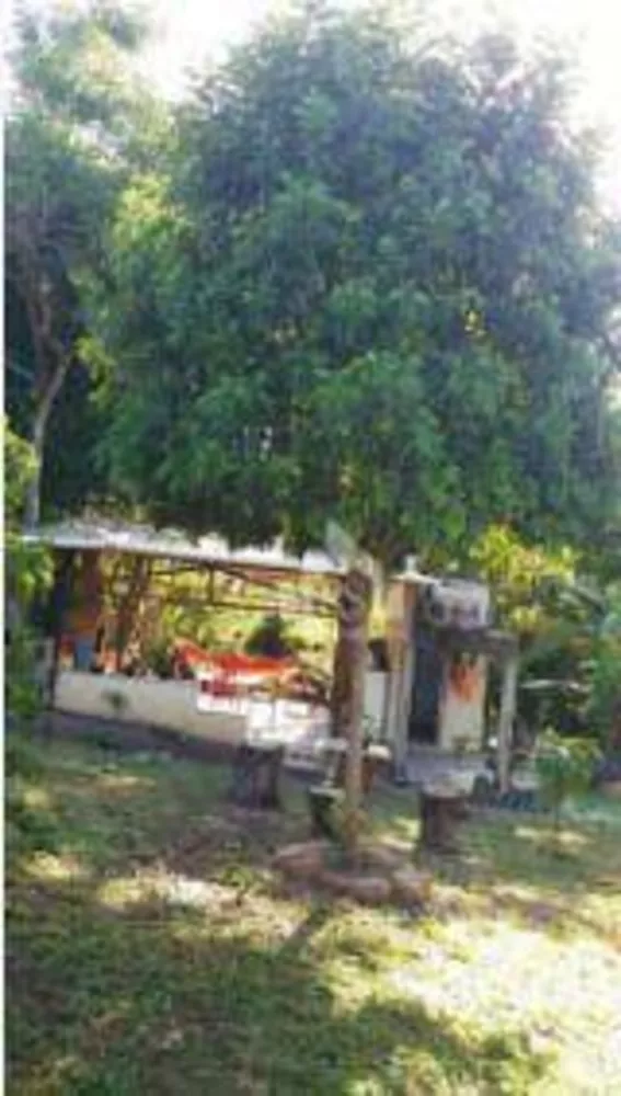Sítio, 1 quarto, 1050 m² - Foto 17