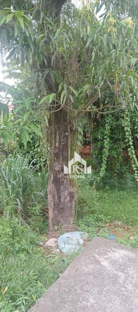 Terreno, 360 m² - Foto 7