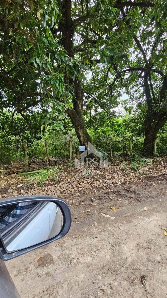 Terreno, 10000 m² - Foto 3