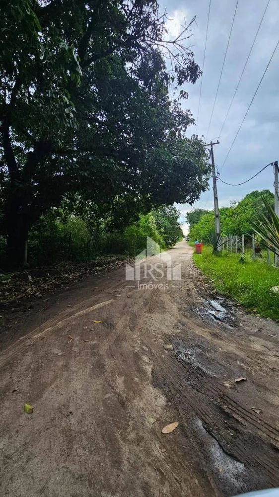 Terreno, 10000 m² - Foto 4