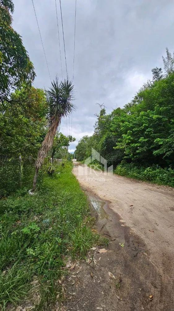Terreno, 10000 m² - Foto 5