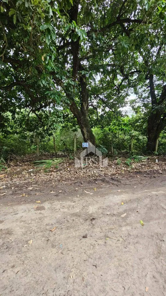 Terreno, 10000 m² - Foto 1