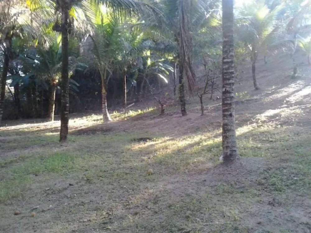 Sítio, 5 quartos, 7 m² - Foto 20