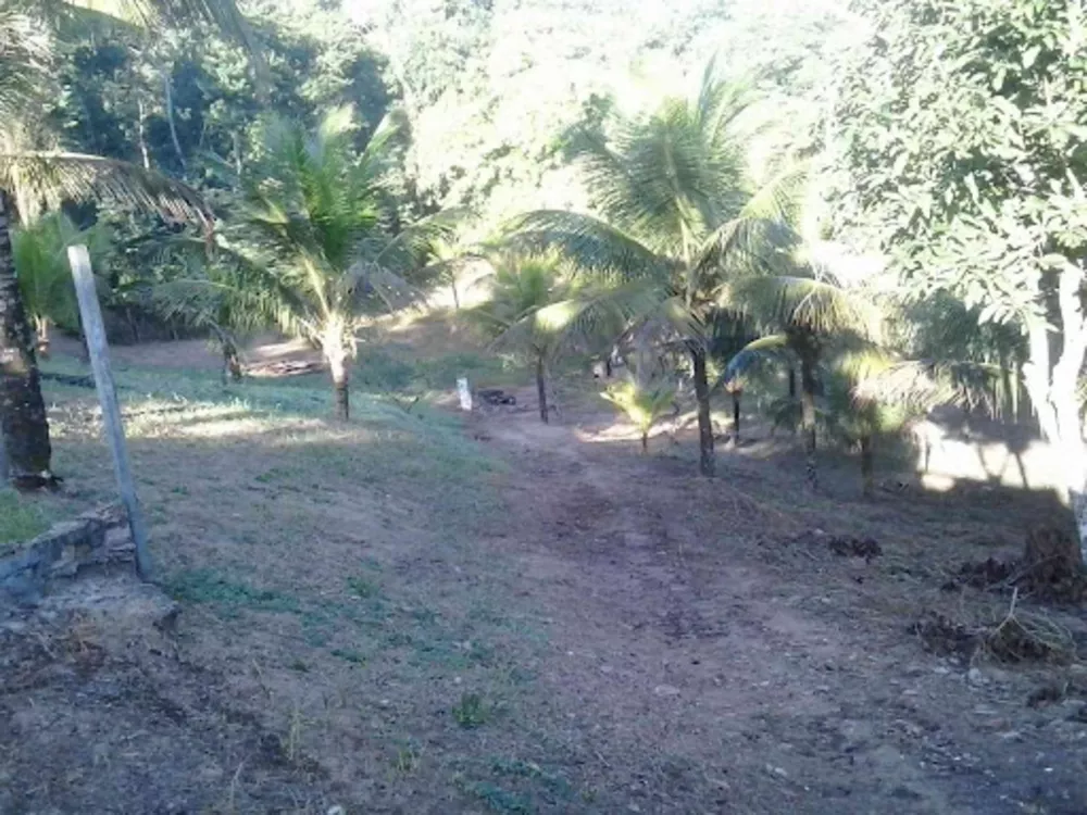 Sítio, 5 quartos, 7 m² - Foto 22