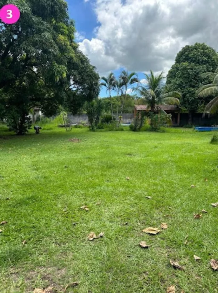 Terreno, 600 m² - Foto 6