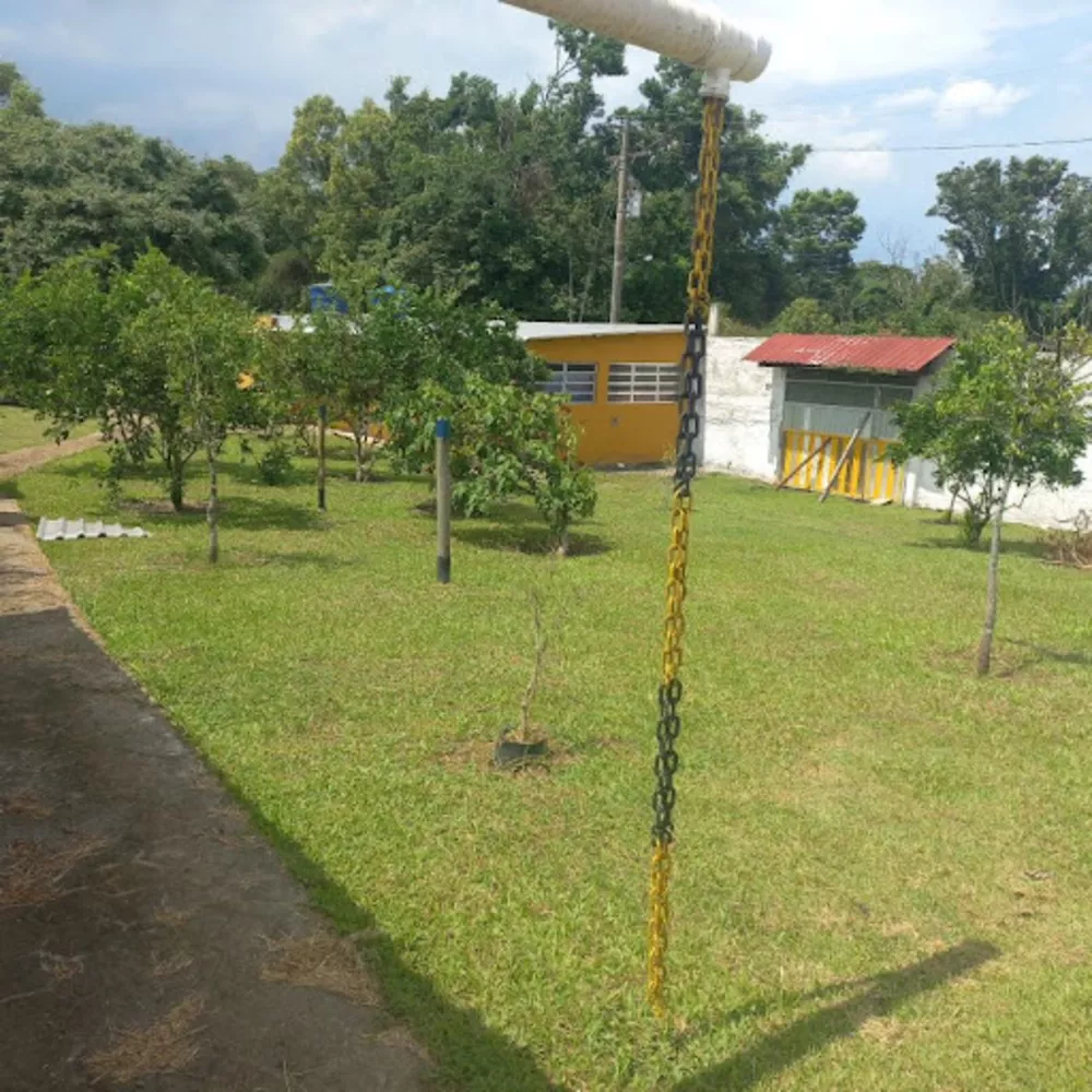 Sítio, 2 quartos, 2400 m² - Foto 10