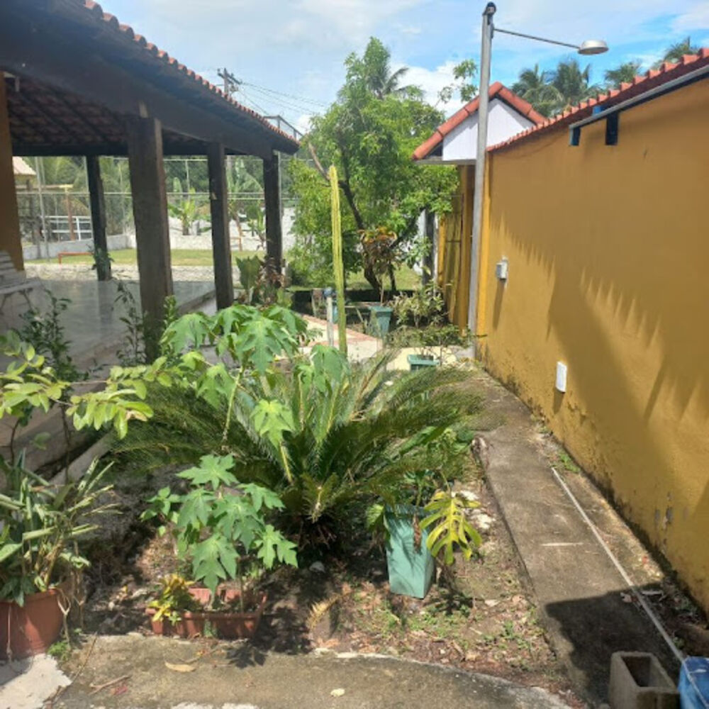 Sítio, 2 quartos, 2400 m² - Foto 3