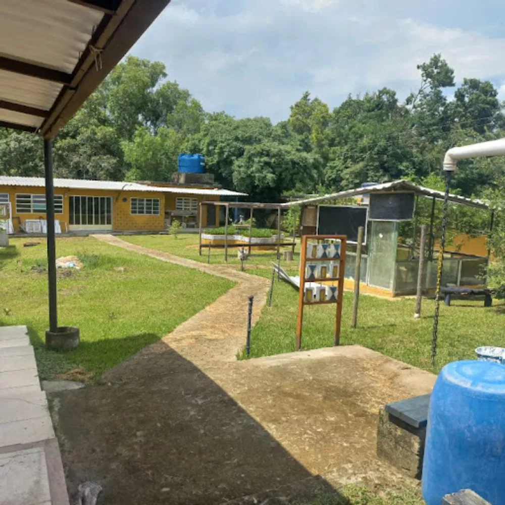 Sítio, 2 quartos, 2400 m² - Foto 6