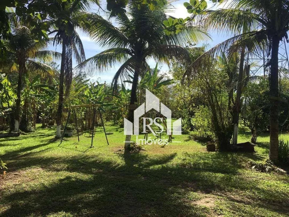 Sítio, 10 hectares - Foto 5