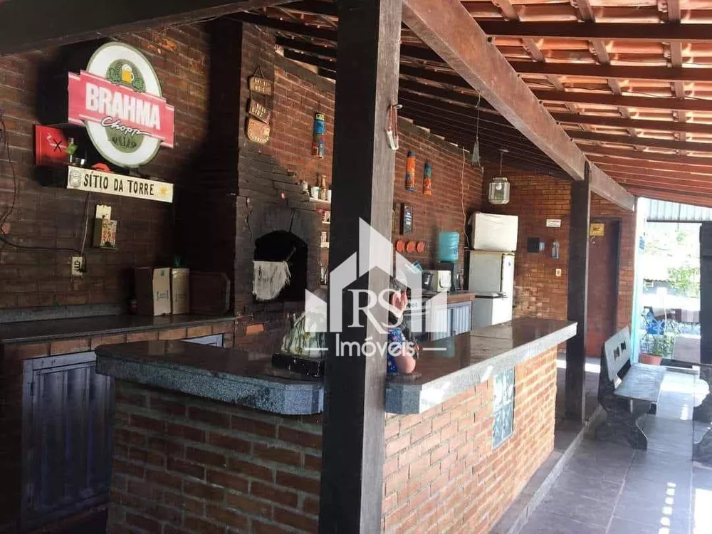 Sítio, 10 hectares - Foto 23