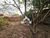 Terreno, 450 m² - Foto 3