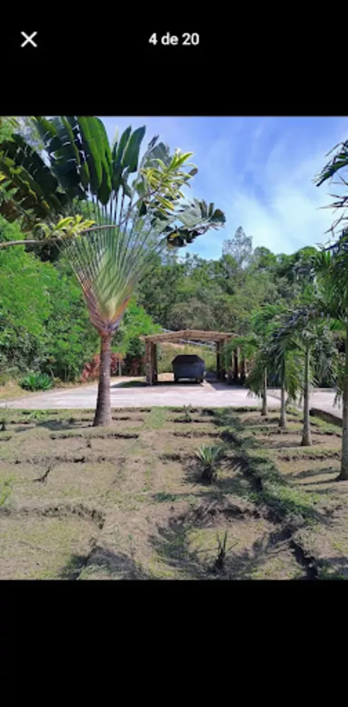 Chácara, 3 quartos, 10000 m² - Foto 16