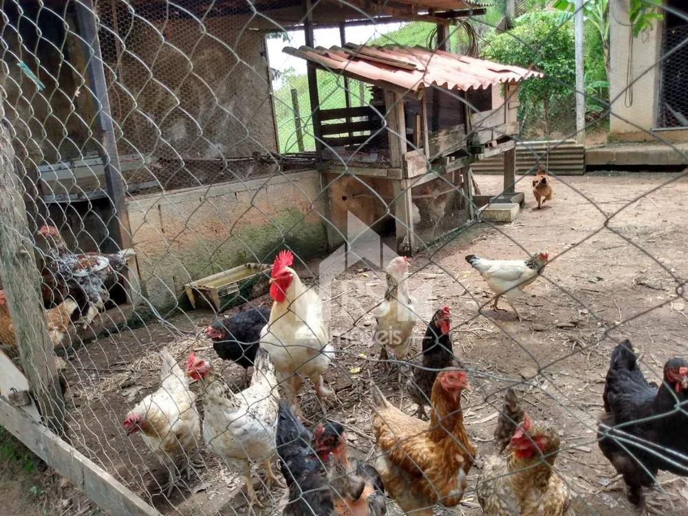 Chácara, 2 quartos, 2000 m² - Foto 12