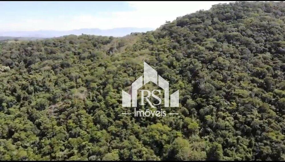 Terreno, 3 hectares - Foto 7