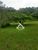 Sítio, 2 quartos, 2 hectares - Foto 2