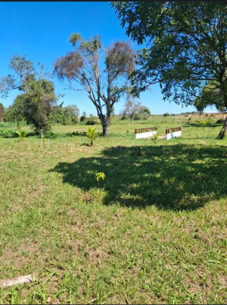 Sítio, 3 quartos, 10000 m² - Foto 14