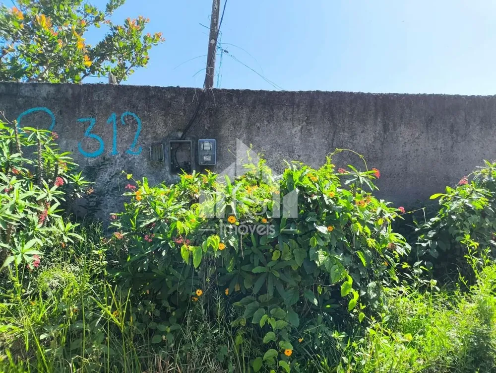 Terreno, 1 hectares - Foto 1