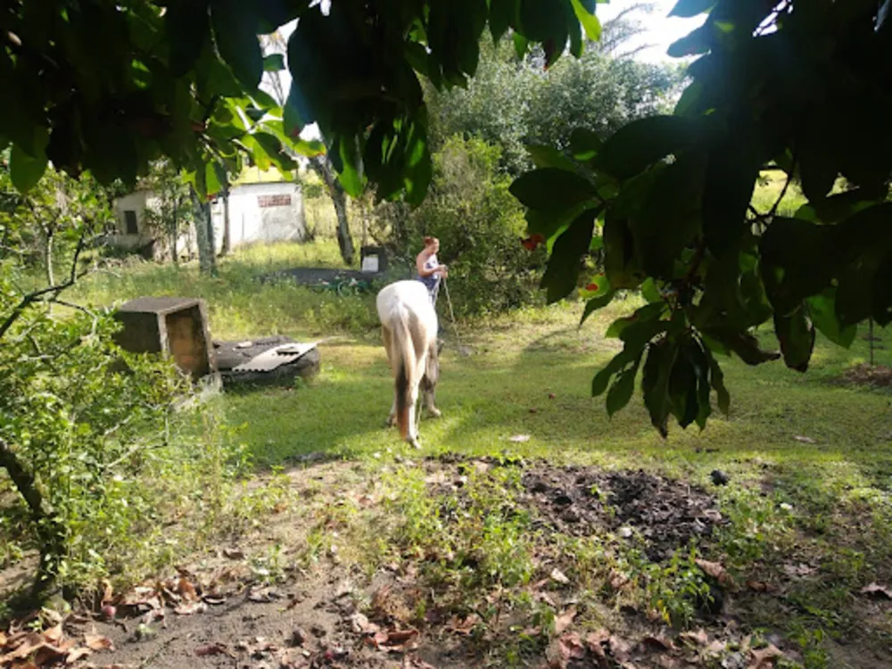 Chácara, 5 quartos, 1 hectares - Foto 10