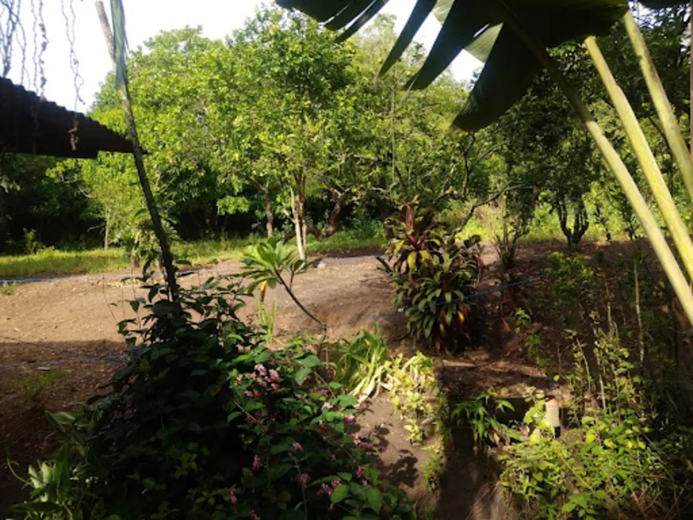Chácara, 5 quartos, 1 hectares - Foto 19