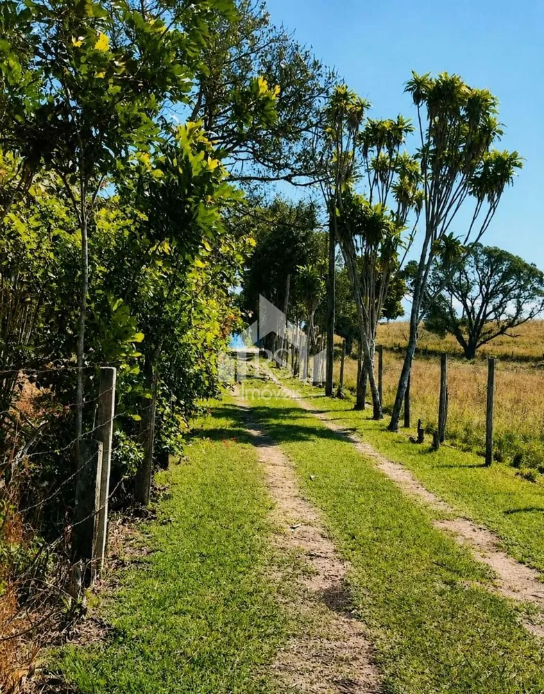 Chácara, 5 quartos, 1 hectares - Foto 6