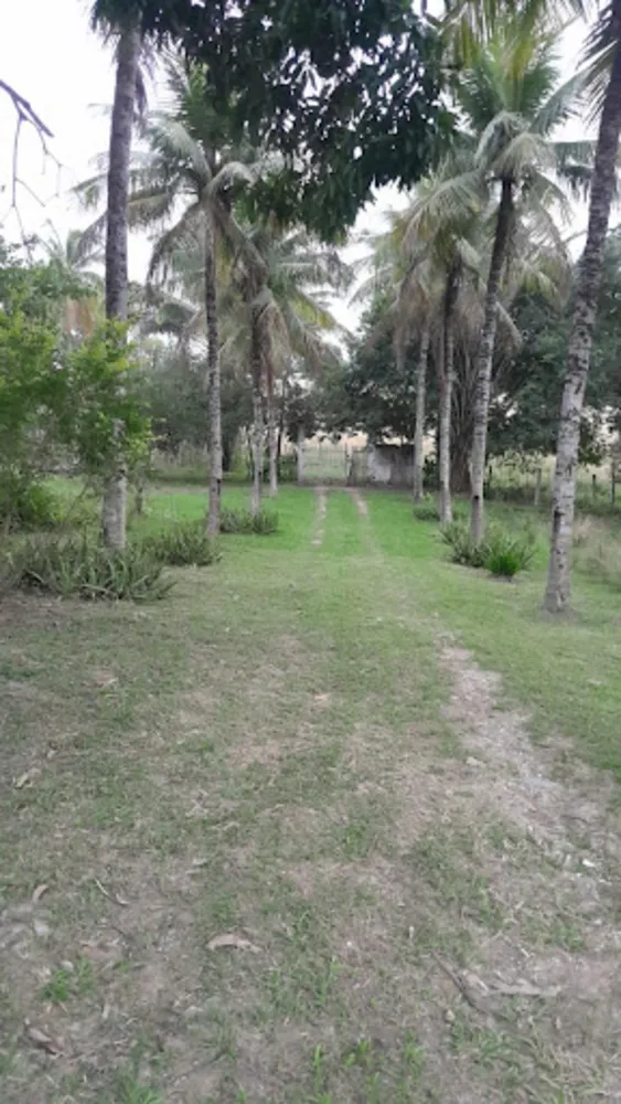 Chácara, 5 quartos, 1 hectares - Foto 12