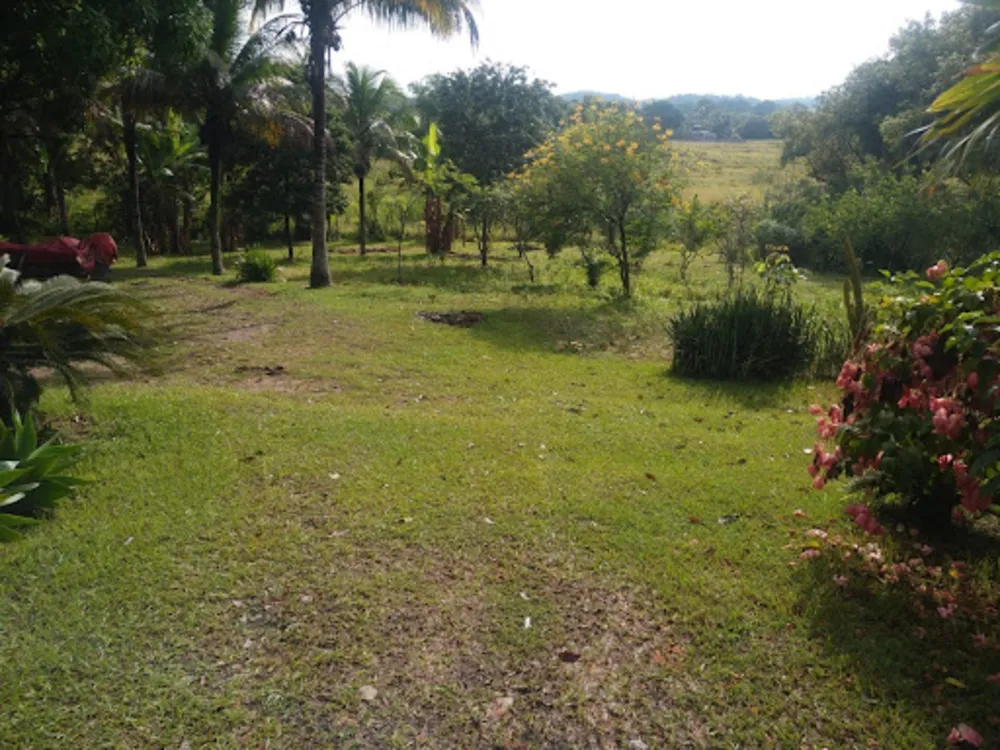 Chácara, 5 quartos, 1 hectares - Foto 7