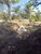 Terreno, 750 m² - Foto 4