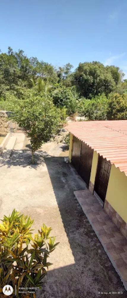 Sítio, 4 quartos, 6000 m² - Foto 9