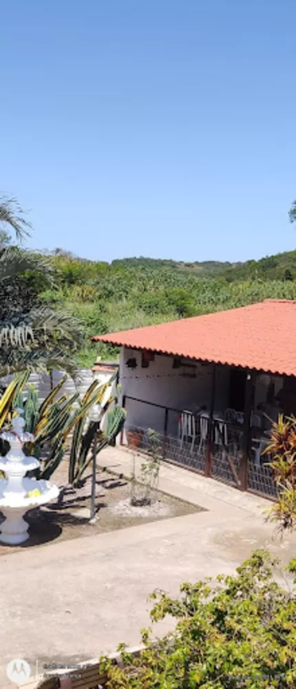 Sítio, 4 quartos, 6000 m² - Foto 1