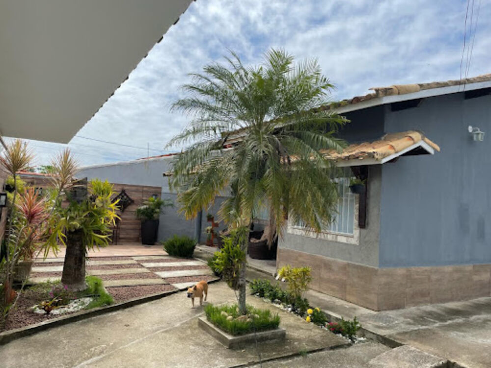 Casa, 3 quartos, 480 m² - Foto 5