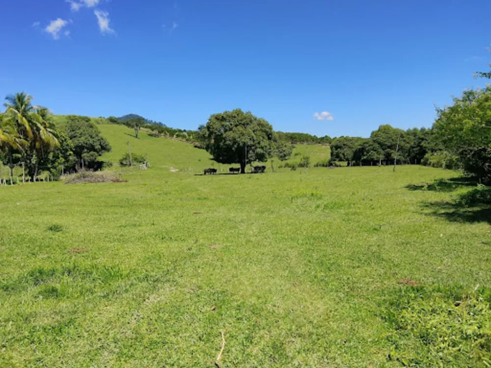 Sítio, 2 quartos, 5 hectares - Foto 12
